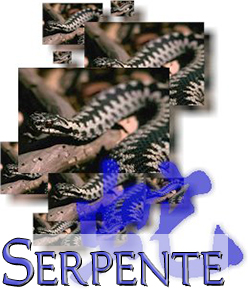 Serpente