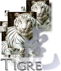 Tigre